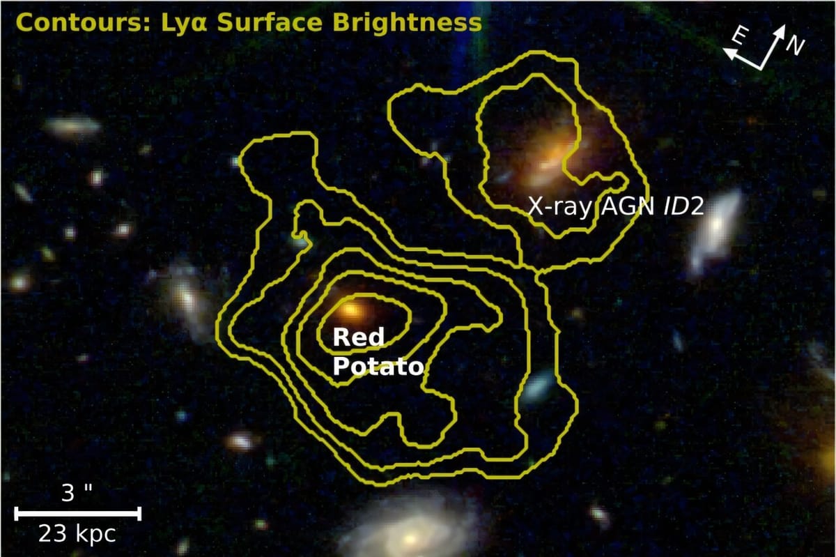 JWST Discovers 'Red Potato': A Massive, Quiescent Galaxy From the Early Universe